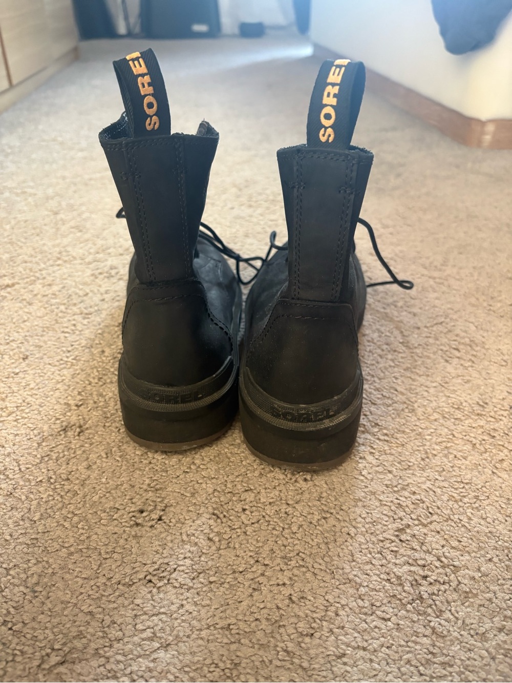 Sorel Women's Hi-Line Lace Boots